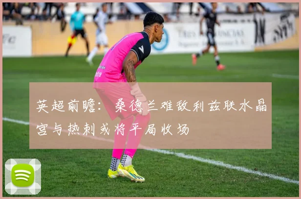 英超前瞻：桑德兰难敌利兹联水晶宫与热刺或将平局收场