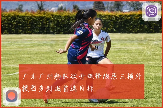 广东广州豹队欲升级锋线原三镇外援图多列成首选目标