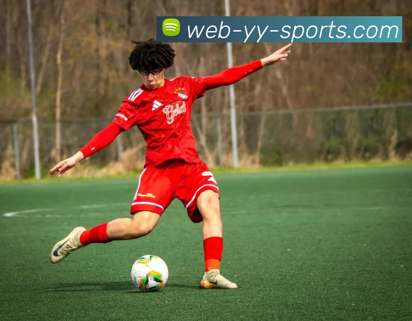 易游体育平台生态图