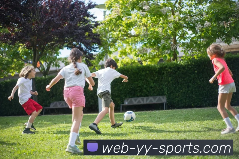 易游体育APP 封面图